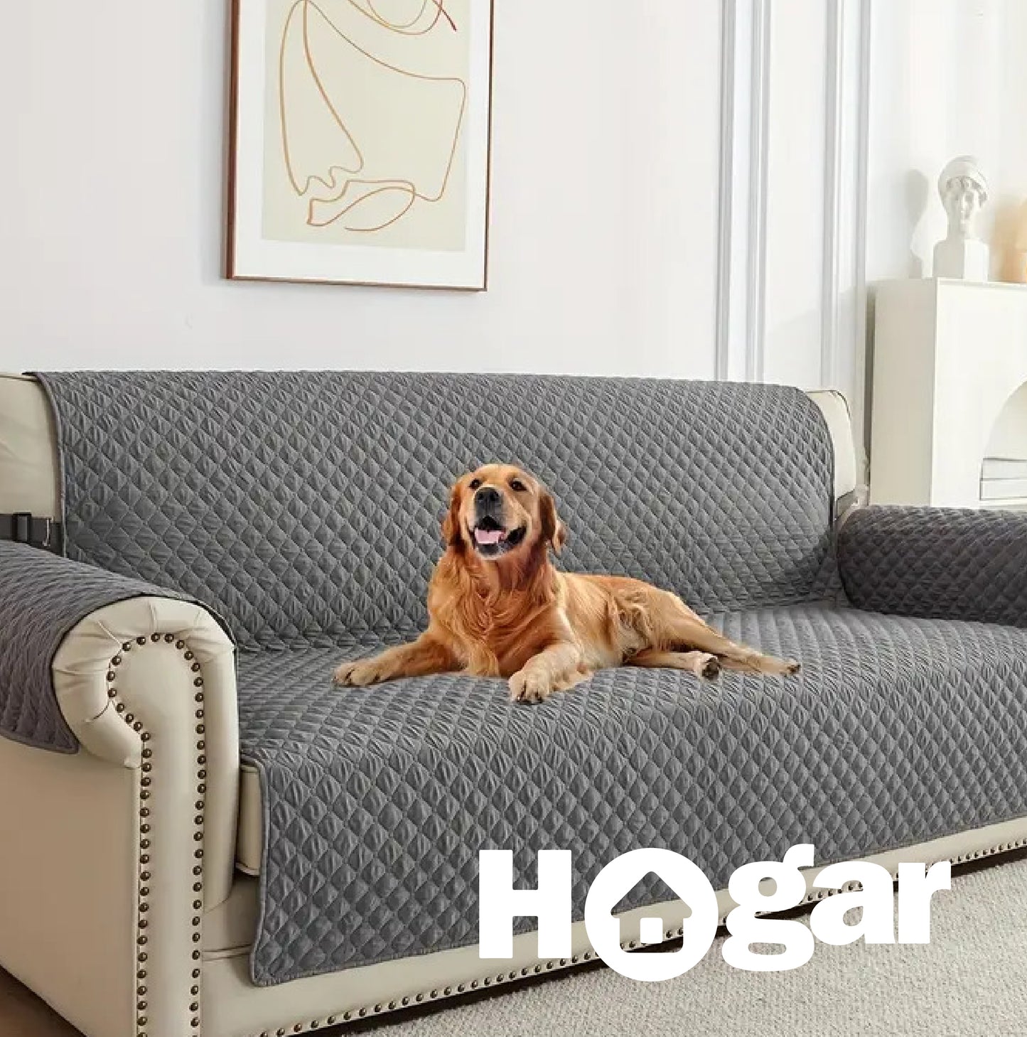 ADIÓS MANCHAS, PELOS Y DESGASTE: Protege tu sofá y alarga su vida por años - Protector para Sofá Impermeable Doble Faz