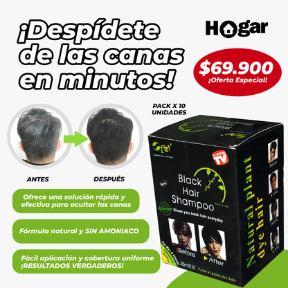 Shampoo Rejuvenecedor de Cabello CubreCanas Pro®️ PACK X 10 UNIDADES ¡Quítate unos cuantos años de encima!