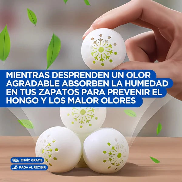 PACK X6 TOTALFRESH® – Eliminador Definitivo de Mal Olor, Humedad y Hongos en tus Zapatos | Protección Avanzada para tus Pies y Calzado