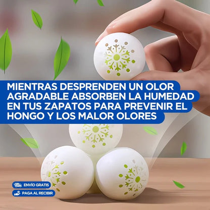PACK X6 TOTALFRESH® – Eliminador Definitivo de Mal Olor, Humedad y Hongos en tus Zapatos | Protección Avanzada para tus Pies y Calzado